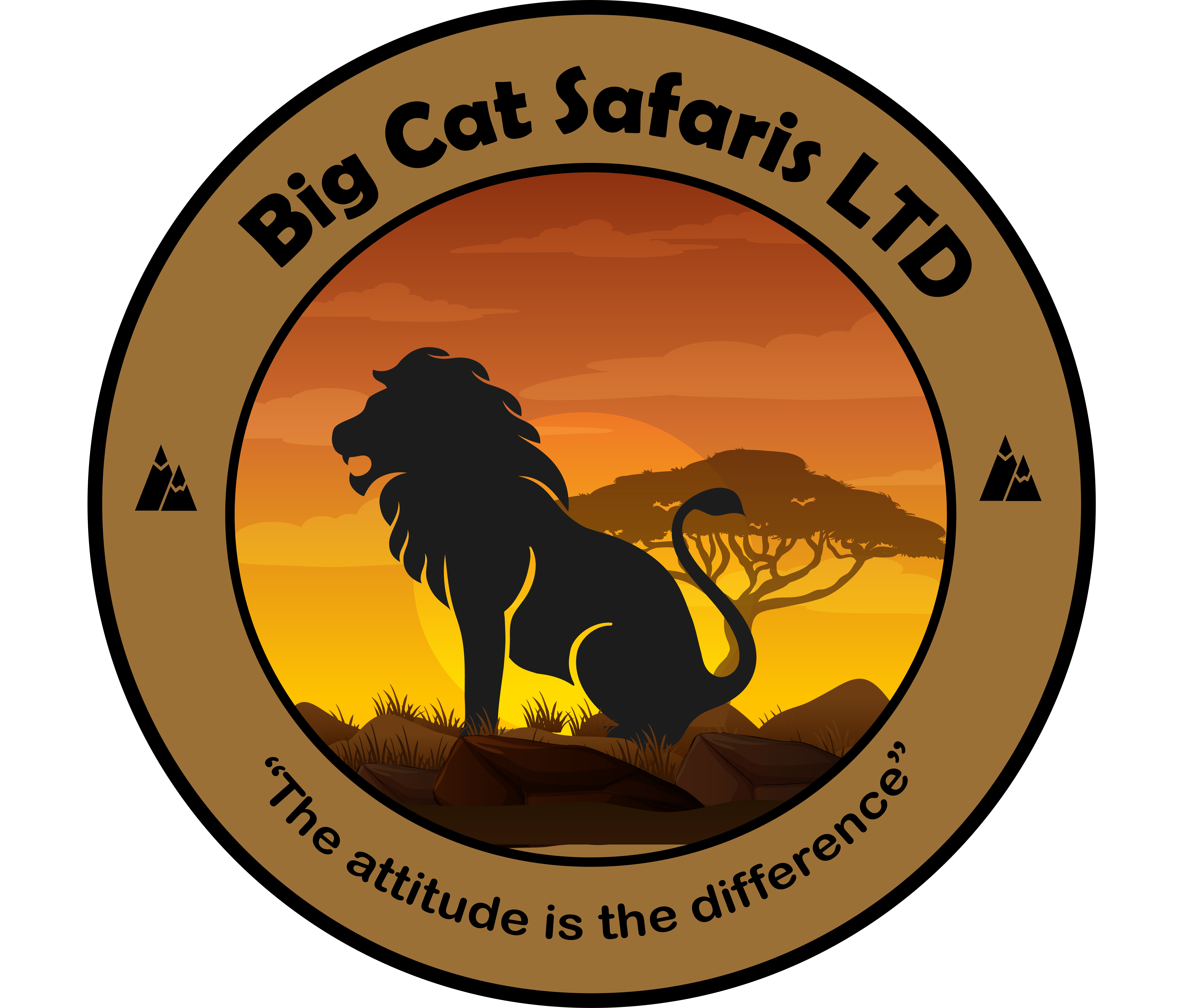 Big cats safaris